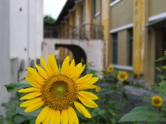 -广州市紫泥堂文化创意园景区