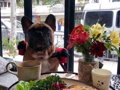 -O'mills Sourdough Bakery&Bistro(永嘉路店)