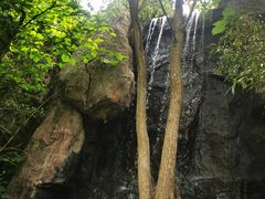 -天目湖山水园