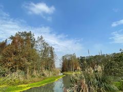 -桤木河湿地公园