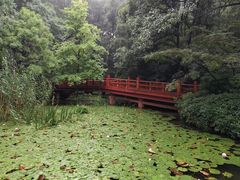 -紫霞湖公园