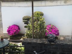 -喜林苑·稻田餐厅(品相府店)