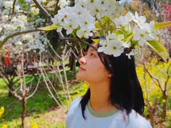 -南汇桃花村