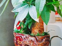 景观位-做得清补凉(上邦店)