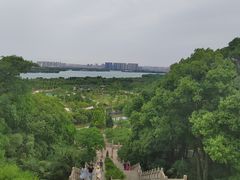 -苏州上方山国家森林公园