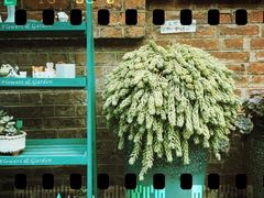 -青韵台陶艺Diy(永庆坊店)