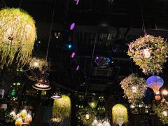 -胡桃里音乐酒馆(白云五号T5 MALL店)