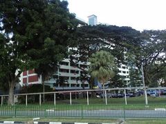 android_upload_pic-龙海鲜螃蟹王(宏茂桥店)