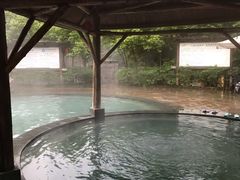 -雅安楠水阁温泉酒店