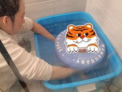 -田螺阿姨自营月嫂·育儿嫂(高新店)