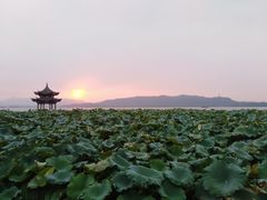 -西湖游船