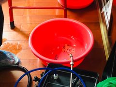 -广州啄木鸟房屋防水补漏