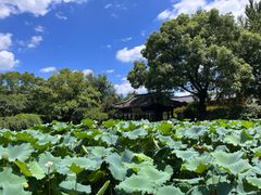 -绍兴鲁迅故里·沈园景区