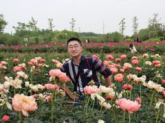 -扬州芍药园(仪征市)