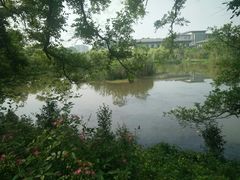 -敬亭山风景名胜区