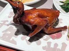 -大鸽饭(体育西路店)
