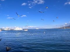 -青海湖二郎剑景区