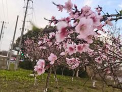 -赵天禄(葑门横街店)