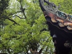 -南岳衡山风景名胜区-南岳大庙