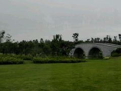 android_upload_pic-瑶湖郊野森林公园