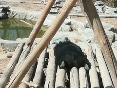 景点-北京动物园