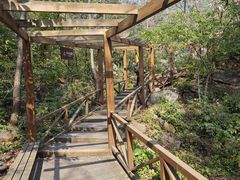 -大岭沟猕猴桃谷风景区