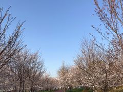 -幕燕滨江·长江观音景区