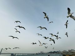-星海广场