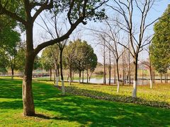 -贡湖湾湿地公园