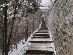 -香山公园