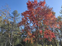 -长春市南湖公园