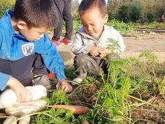 -前小桔亲子创意农场·草莓采摘·露营烧烤