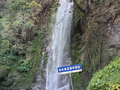 -莫里热带雨林景区