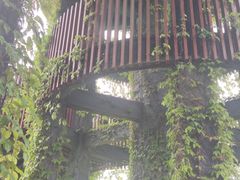 -芒洲湿地公园