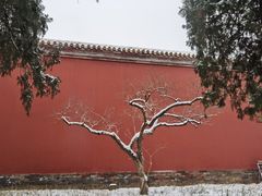 -北京市劳动人民文化宫(太庙)