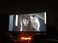 -枫花园汽车电影院(朝阳公园店)