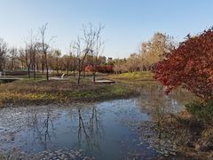 -东郊湿地公园
