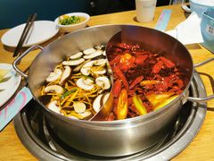 -青瓷火锅料理(西单大悦城店)