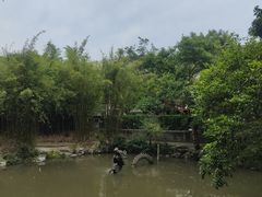 -汇龙潭