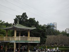 -晓港公园