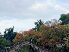 -江心屿景区