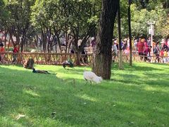 -昆明动物园