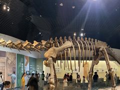 -衢州市博物馆