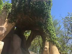 -燕窝岭