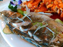 清蒸鳜鱼-马凯餐厅(长椿街店)