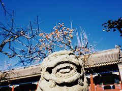 -北京石刻艺术博物馆(五塔寺)