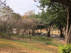 -广州雕塑公园