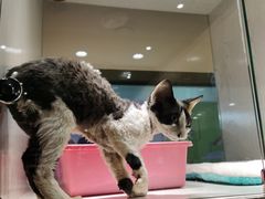 -乐宠宠物店(世纪金源店)