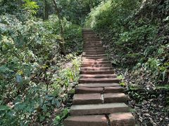 -青城山