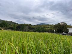 -塔川景区